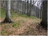 Petrovo Brdo - Slatnik (southeastern peak)